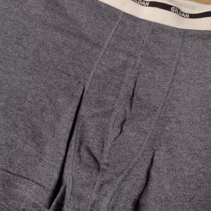 Gildan's Men's Briefs (Bundle)